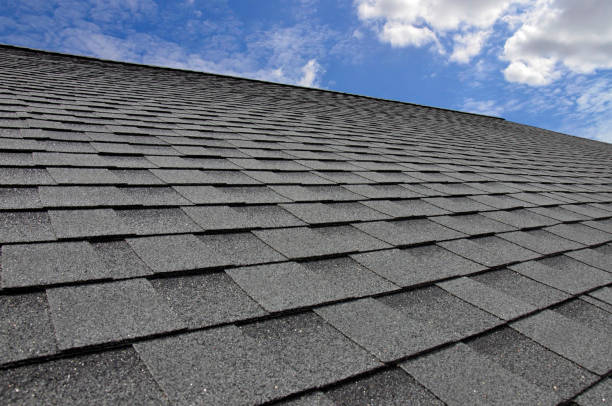Best Roof Insulation Installation  in Pilot Rock, OR
